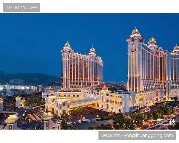 澳门一共有哪些大型赌场及其在国际博彩业中的地位和影响力