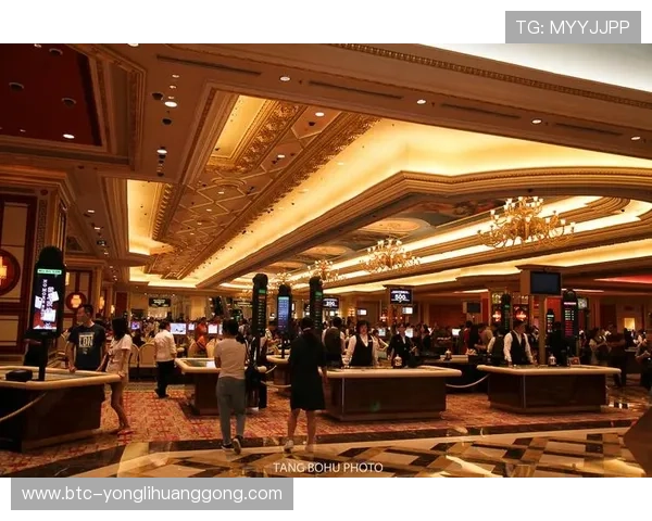 澳门最大的赌场：顶级赌桌、豪华住宿与精彩表演的完美汇聚