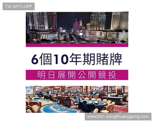 澳门十大博彩排行榜全新升级，揭秘最受欢迎的博彩场所背后隐藏的优势与特色