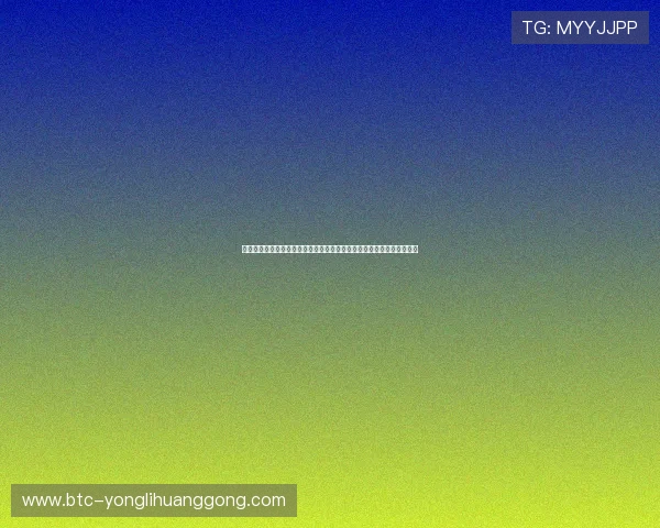 澳门永利正规网址推荐指南，帮助玩家轻松找到官方授权的安全游戏平台