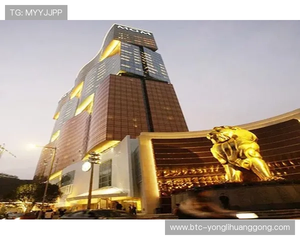 澳门美高梅提供丰富的会议与宴会服务，是商务活动的理想场所