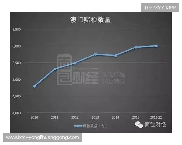 澳门赌场年龄比例研究：青壮年与老年玩家的参与度及其对行业的影响