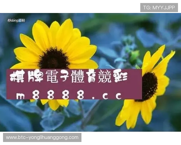 永利304官方入口全面解析，帮助用户顺利登录与保障账户安全的实用技巧