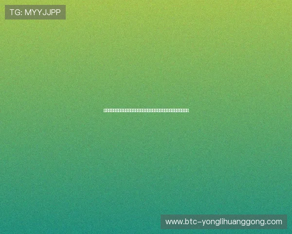 永利澳门有限公司官网网址官方最新更新，快速找到永利澳门官方入口导航指南