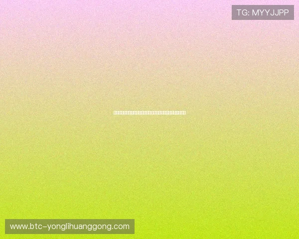 澳门永利皇宫登录页面详细流程，确保用户顺利完成账户登录操作